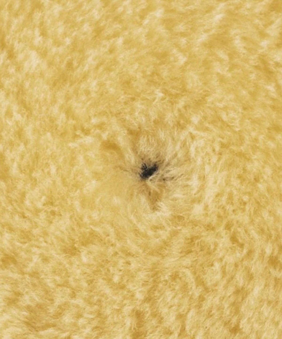 STARKE Yellow $ Money Pad - Polishing Pad